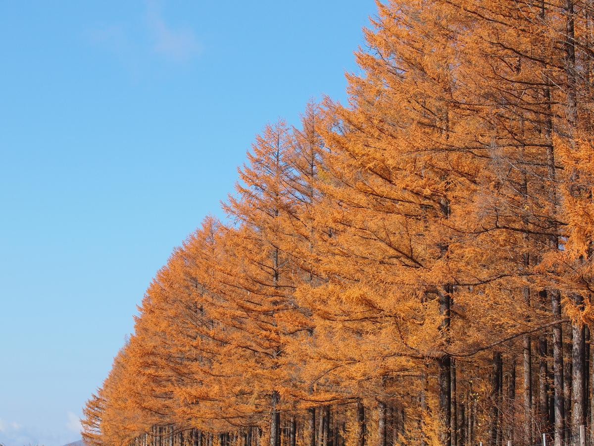 Log Hotel Larch Lake Kanayama Minamifurano Esterno foto